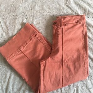 Anthropologie cropped wide leg chinos